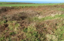 Trewey Hill