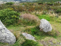 Trevalgan Hill Settlement