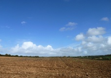 Coldharbour barrow
