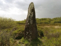 Dry Tree Menhir