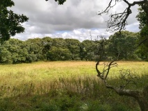Penventinnie Round