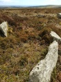 Trendrine Hill Round Barrows