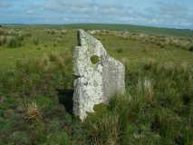 Stripple Stones