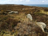 Trendrine Hill Round Barrows