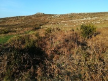 White downs hut circle and pound