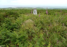 Trink Hill