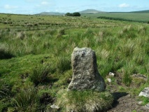 Stripple Stones