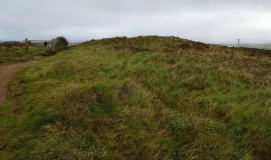 Higher Longbeak Barrow