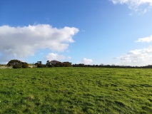 Trewavas Round