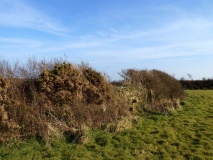 Trewern Round