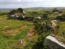 The Carn Field System