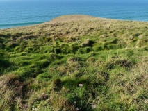 Griffin's point fort