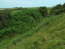 Veryan castle