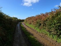 Trewidden Round