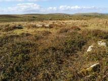 Tonkins Downs