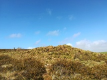 Truthwall Common barrows