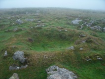 Cardinham Moor row