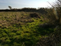 Trewern Round