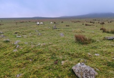 Roughtor north