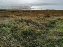 Widemouth Bay tumulus