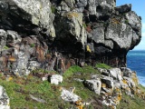 Click for full size image of Gurnard's Head (PID:271715) Gurnard's Head