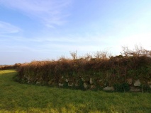 Trewern Round