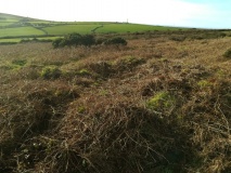 Botrea Tumuli, Homstead and Hut Circle
