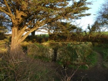 Madron Well