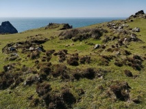 Kynance Cove Hut Circle