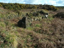 Porthmeor Settlements, Tumuli and homestead