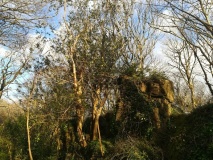 Tolver Hut site and Outcrop