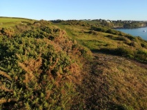 Rosemullion Head