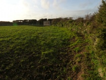 Halwyn Round