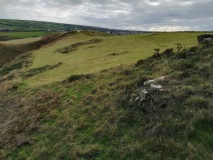 Bossiney Settlement