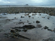 Mounts Bay prehistoric submerged forest