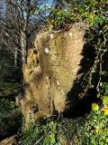 Tolver Hut site and Outcrop