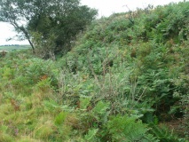 Cadson Bury