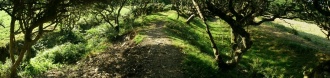 Nance Hill Round