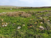 Carn Brea Hut circles and Tumulus