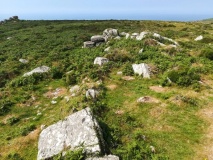 The Carn Field System