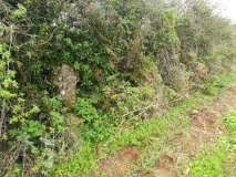 Parc-An-Growse Cross