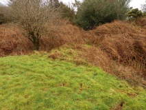 Castilly Henge