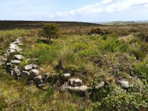 Sperris Croft