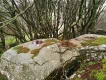 Trevelloe Carn