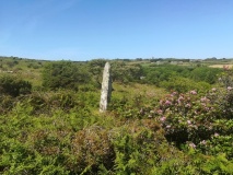 Carfury Standing Stone