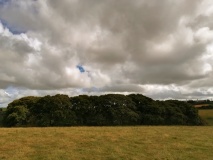 Penventinnie Round