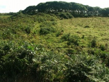 Nance Hill Round