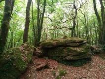 The Rocks