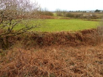 Castilly Henge