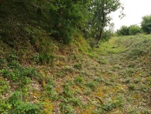 Bishops Wood Fort